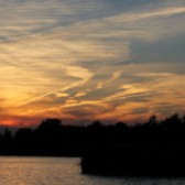 IMG_6011