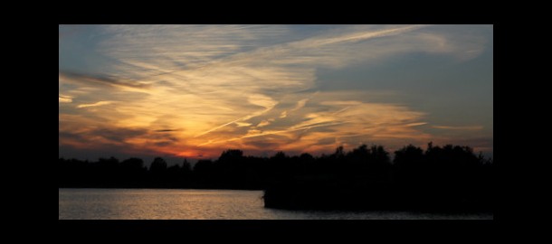 IMG_6011